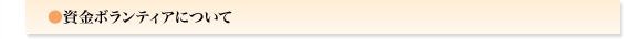 資金ボランティアについて