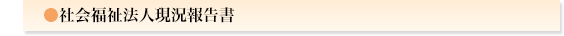 社会福祉法人現況報告書